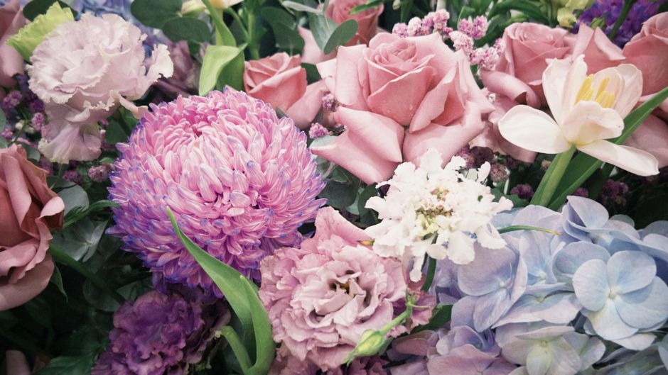 An arrangement of fresh flowers including pink roses, purple and pink chrysanthemums, white and light blue hydrangeas, and delicate baby's breath, all nestled together with green foliage. The flowers 